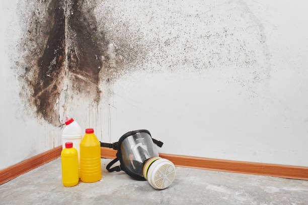 Best Mold Testing  in Marceline, MO