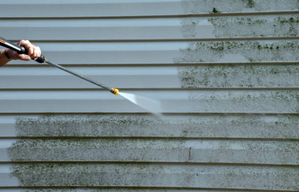 Best Mold Cleaning Services  in Marceline, MO