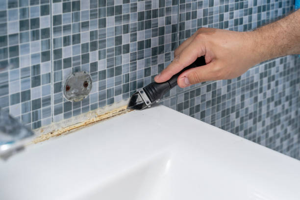 Certified Mold Removal in Marceline, MO