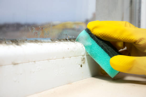 Best Mold Testing  in Marceline, MO